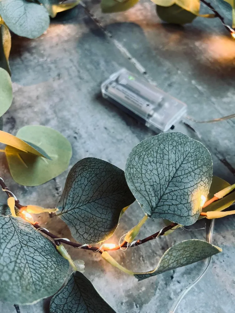 Lyskæde med eucalyptus