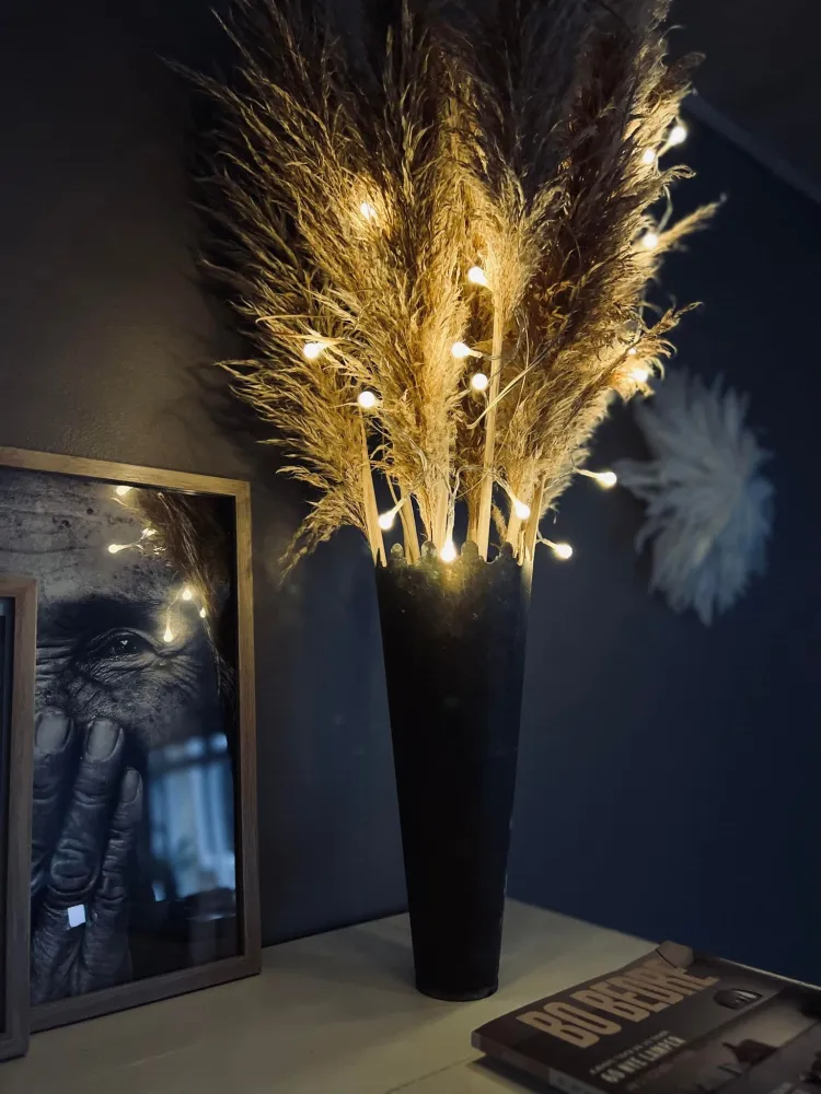 Lyskæde med hvide LED dots - batteriboks