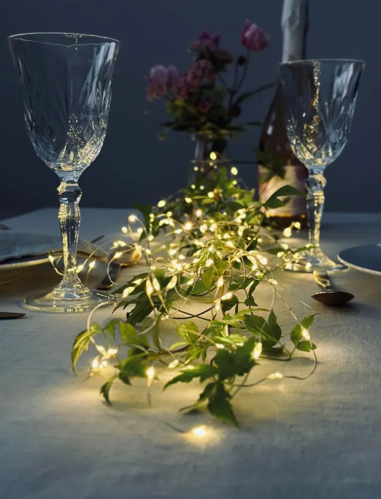 Lyskæde silver wire med 100 LED Lys