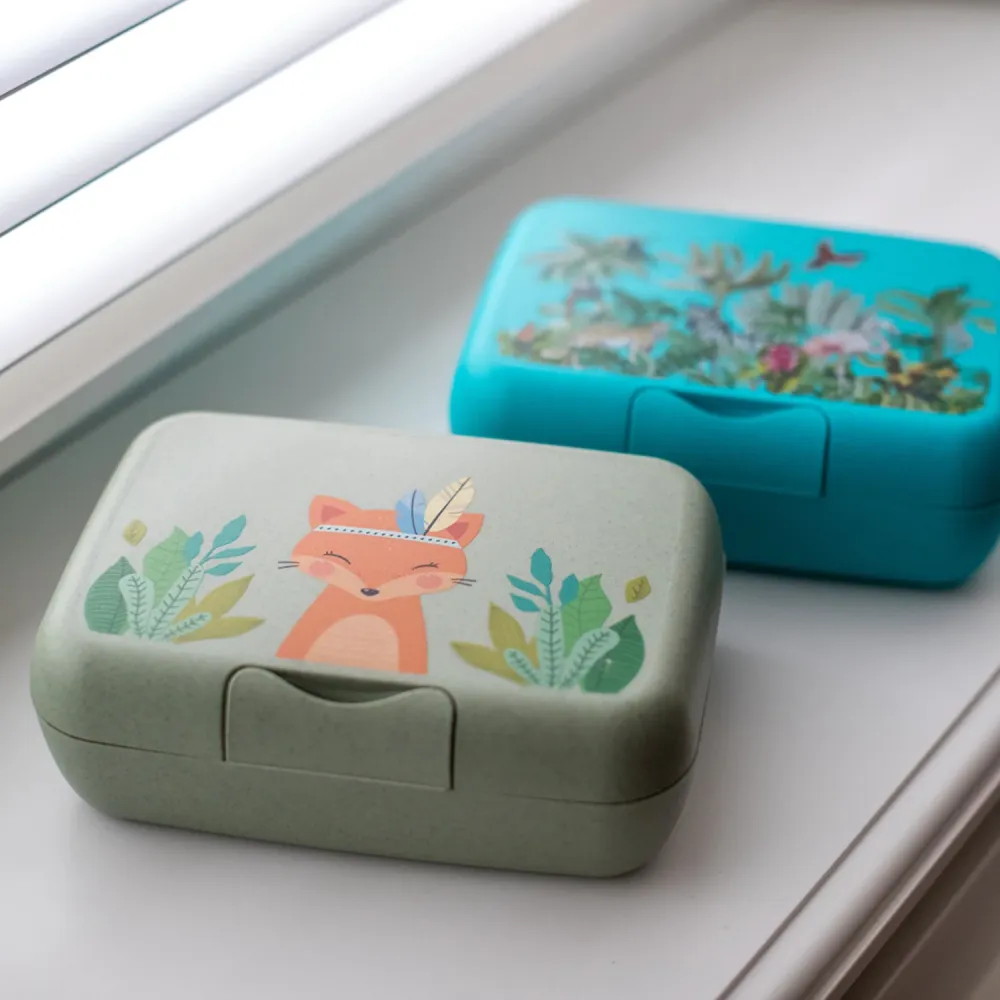 Koziol Organic Mint Lunch Box Med Separat Skål Candy L Harry