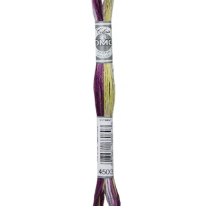 5602-4503, Mouliné Manifold broderigarn, DMC