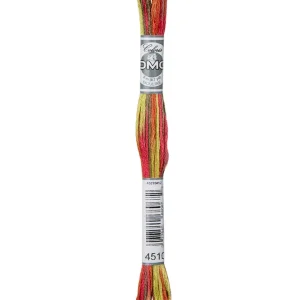 5602-4510, Mouliné Multiple broderigarn, DMC