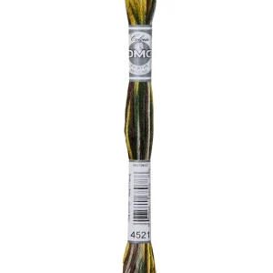 5602-4521, Mouliné Several broderigarn, DMC