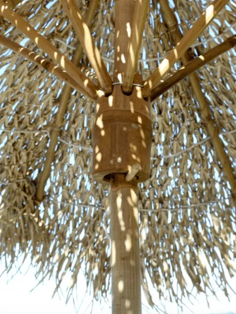 Bambus Parasol