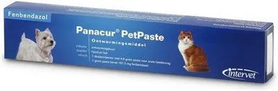 Panacur pasta – Bredspektret ormekur, også effektiv mod Giardia (kat og hund)