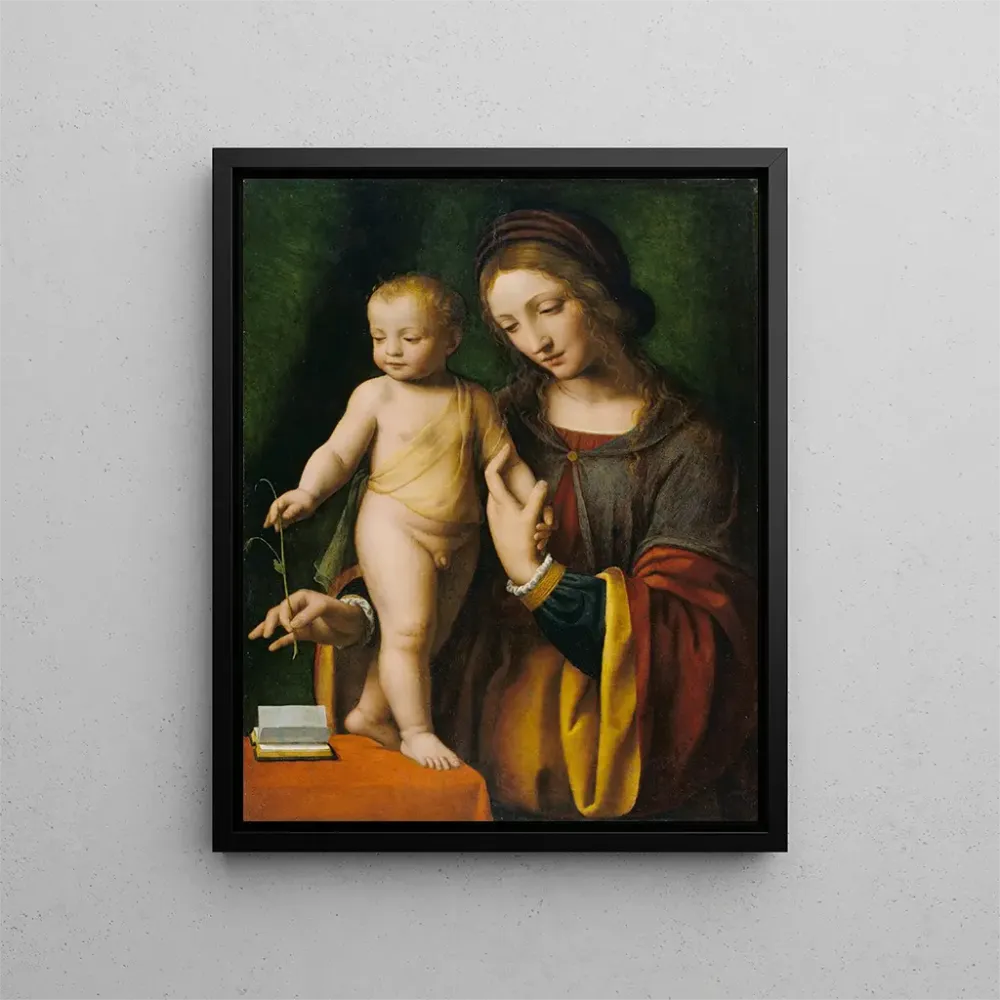 Maleri Den Jomfru med barnet med en Columbine - Bernardino Luini | Kunsttryk
