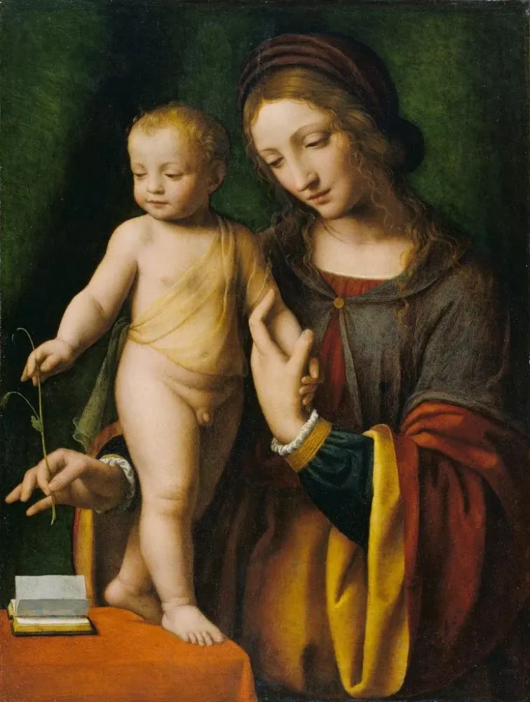 Maleri Den Jomfru med barnet med en Columbine - Bernardino Luini | Kunsttryk