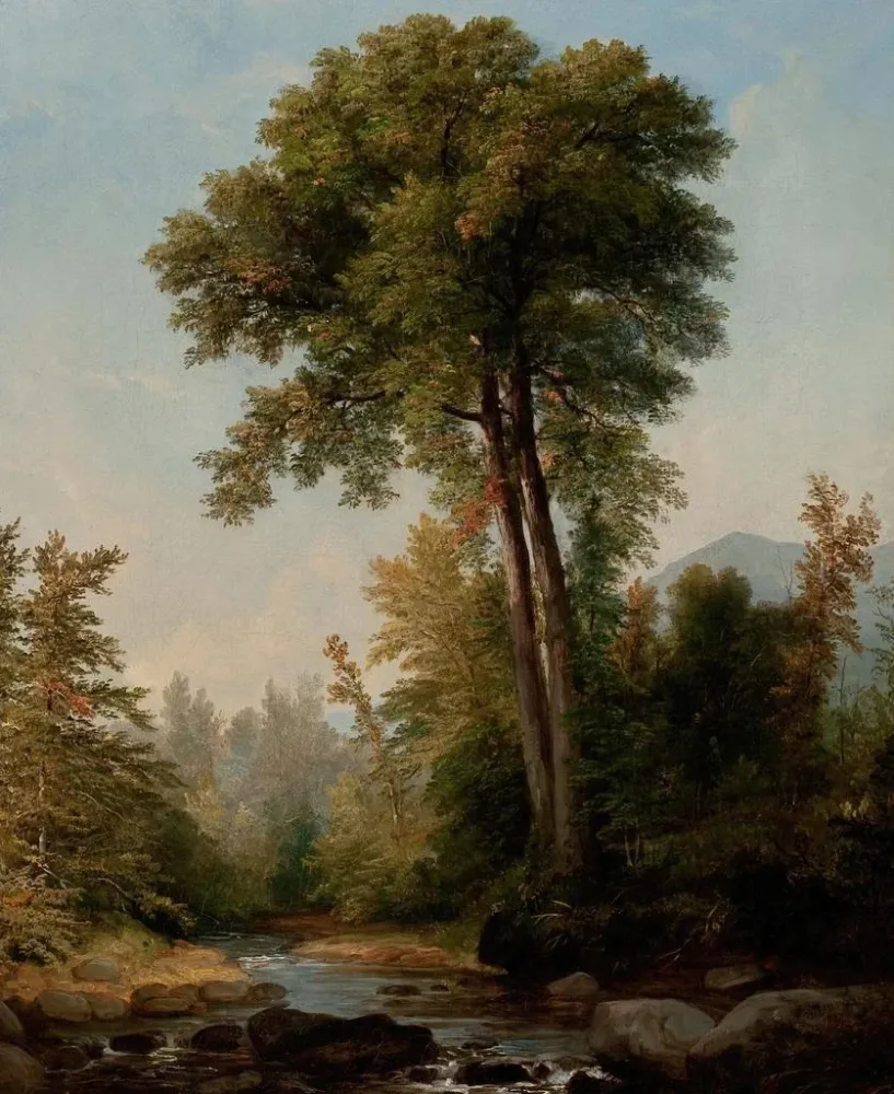 Maleri En naturlig monark - Asher Brown Durand | Kunsttryk Source: Tableau Un monarque naturel - Asher Brown Durand | Repr...
