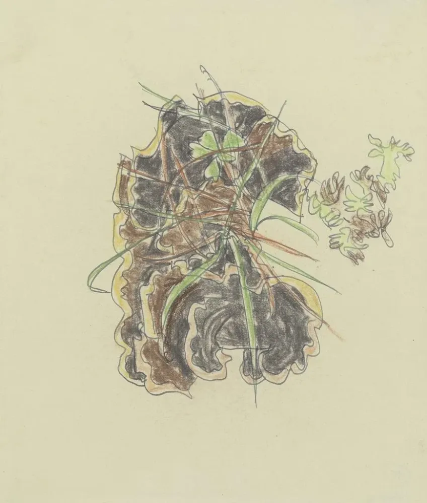Maleri Studie af planter - August Babberger | Kunsttryk