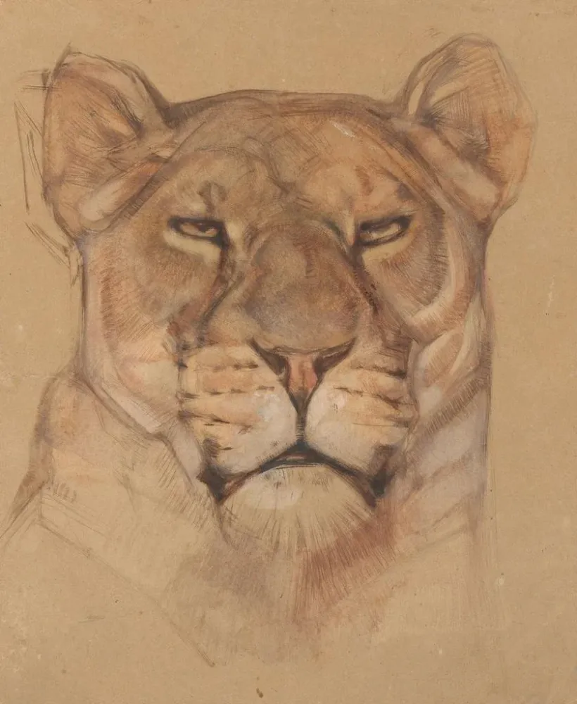 Maleri Tête de lionne - Bernard Willem Wierink | Kunsttryk