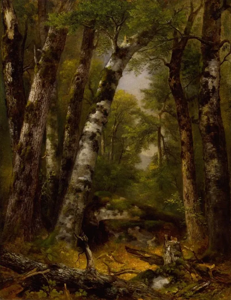 Maleri Woodland Glen - Asher Brown Durand | Kunsttryk Source: Tableau Woodland Glen - Asher Brown Durand | Reproduction