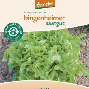 Biodynamisk Egebladsalat 'Till' - Bingenheimer Saatgut
