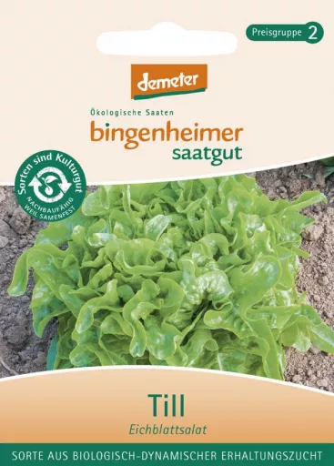 Biodynamisk Egebladsalat 'Till' - Bingenheimer Saatgut