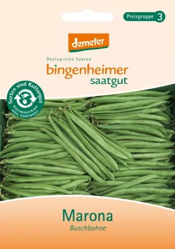 Biodynamisk Grønne Busk-Bønner 'Marona' - Bingenheimer Saatgut