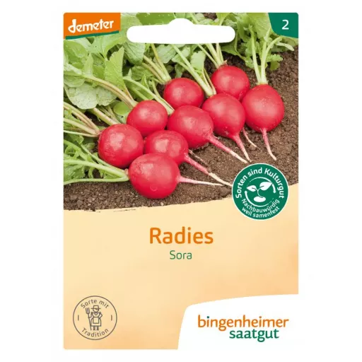 Biodynamisk Radiser 'Sora' - Bingenheimer Saatgut