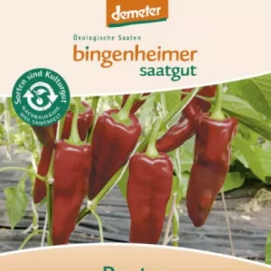Biodynamisk Røde Snackpeber 'Pantos' - Bingenheimer Saatgut