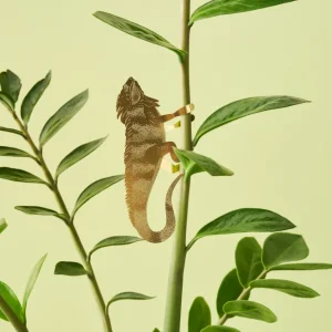 Leguan (stor) Another Studio