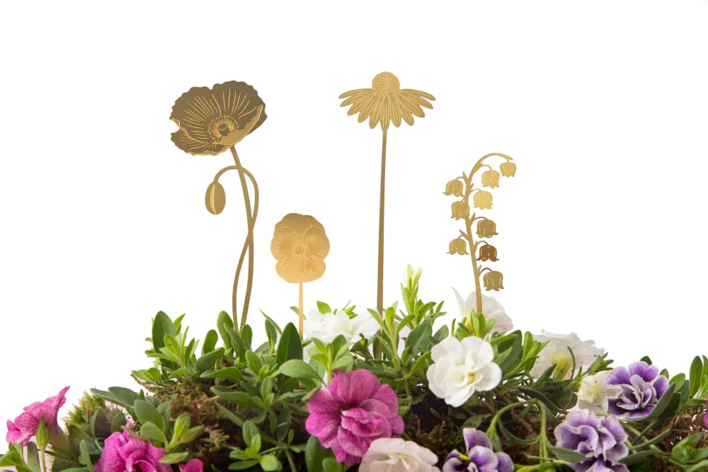 Havens blomster
