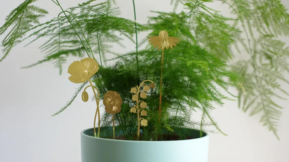 Havens blomster