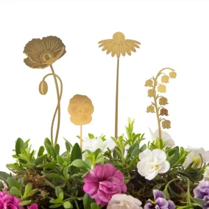 Havens blomster