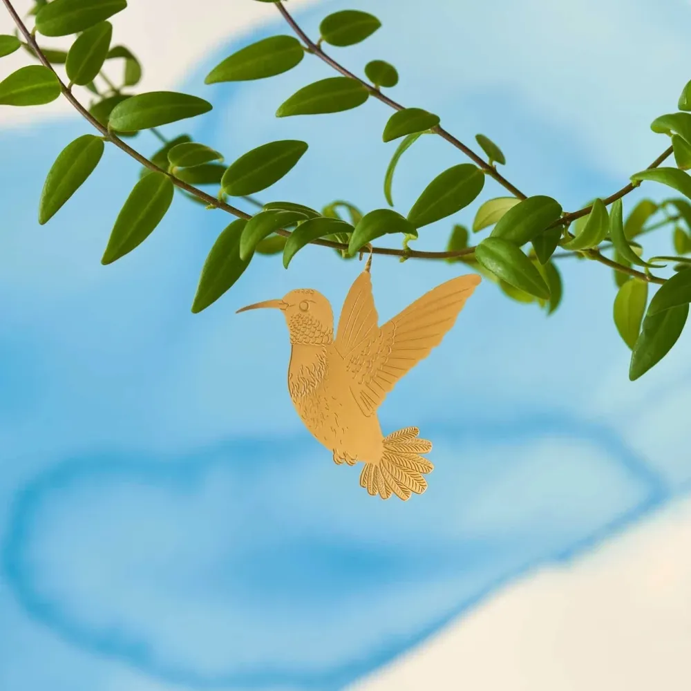 Kolibri