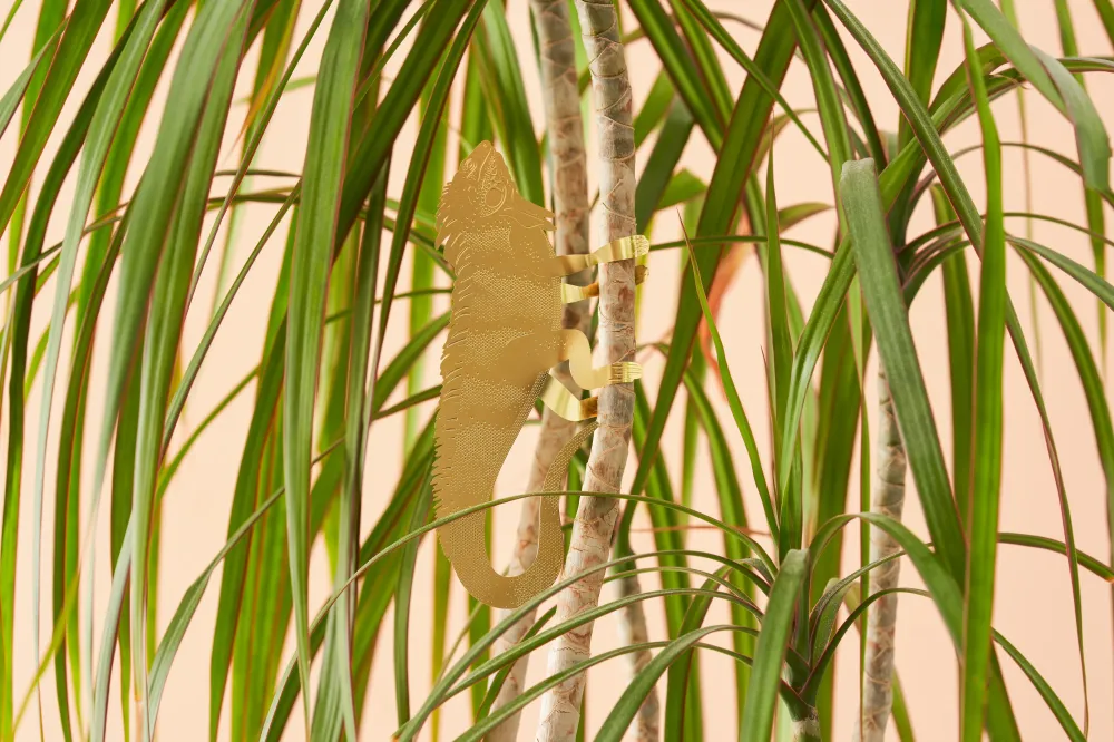 Leguan (stor)