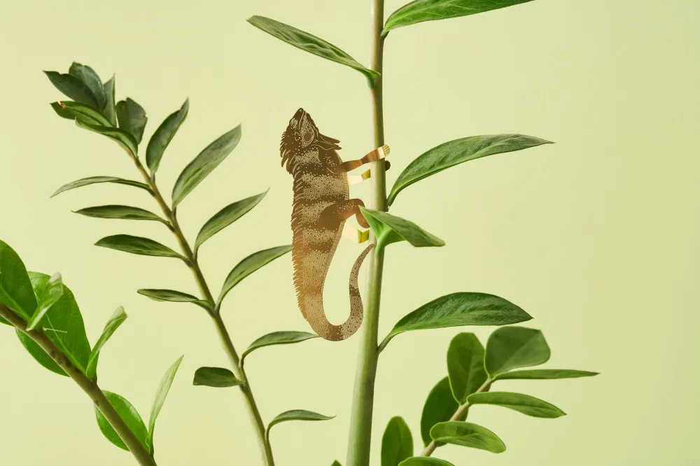 Leguan (stor)