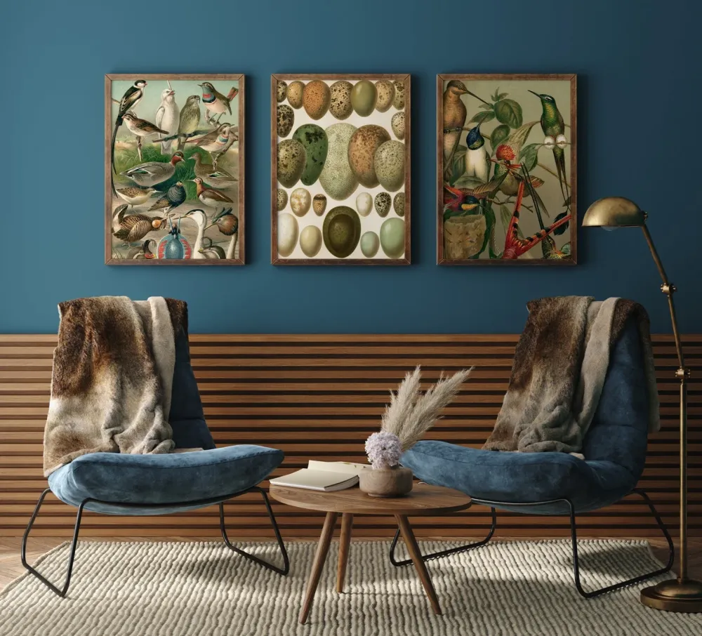 European eggs 30x40