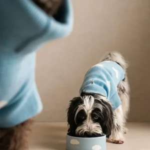 Cloud Pet Skål 14cm 2 Stykker Sæt MT