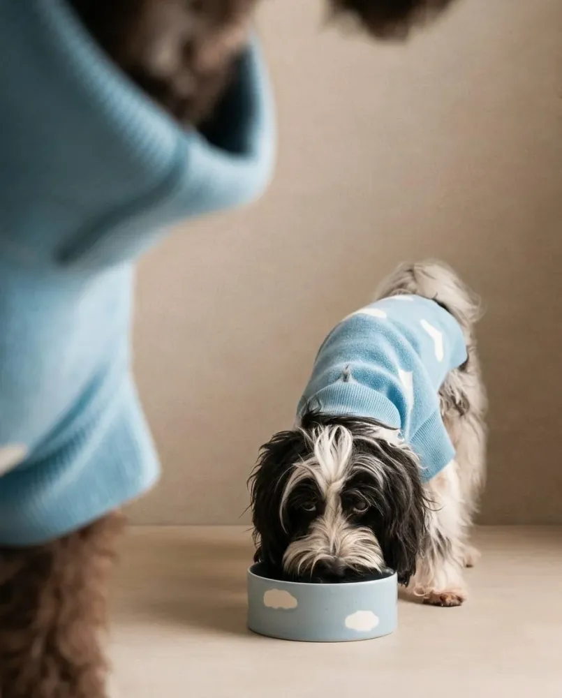 Cloud Pet Skål 14cm 2 Stykker Sæt MT