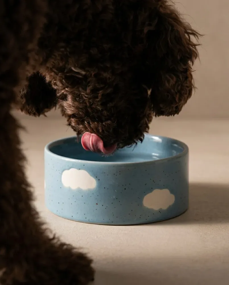 Cloud Pet Skål 14cm 2 Stykker Sæt MT