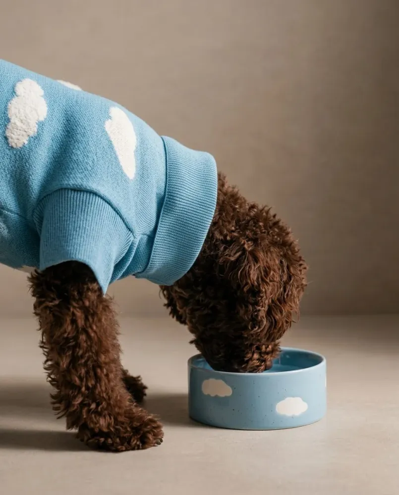Cloud Pet Skål 14cm 2 Stykker Sæt MT