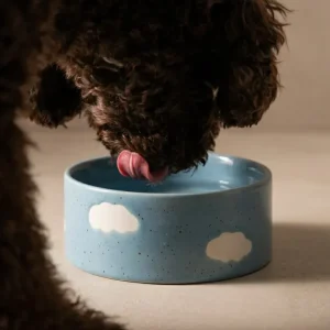 Cloud Pet Skål 16,5 cm 2 Stykker Sæt MT