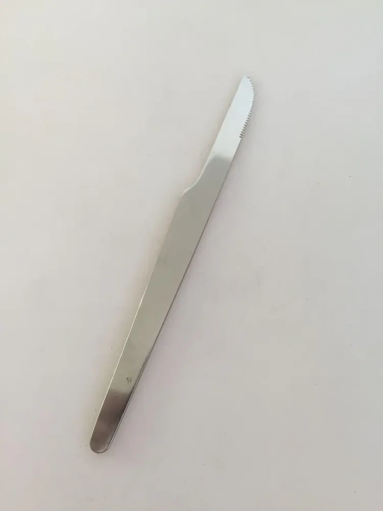 Arne Jacobsen Anton Michelsen Stainless Spisekniv med skær