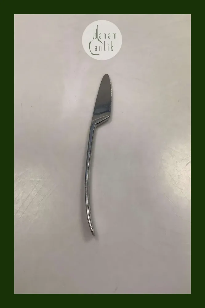 Mads Odgård Raadvad Stainless Spisekniv