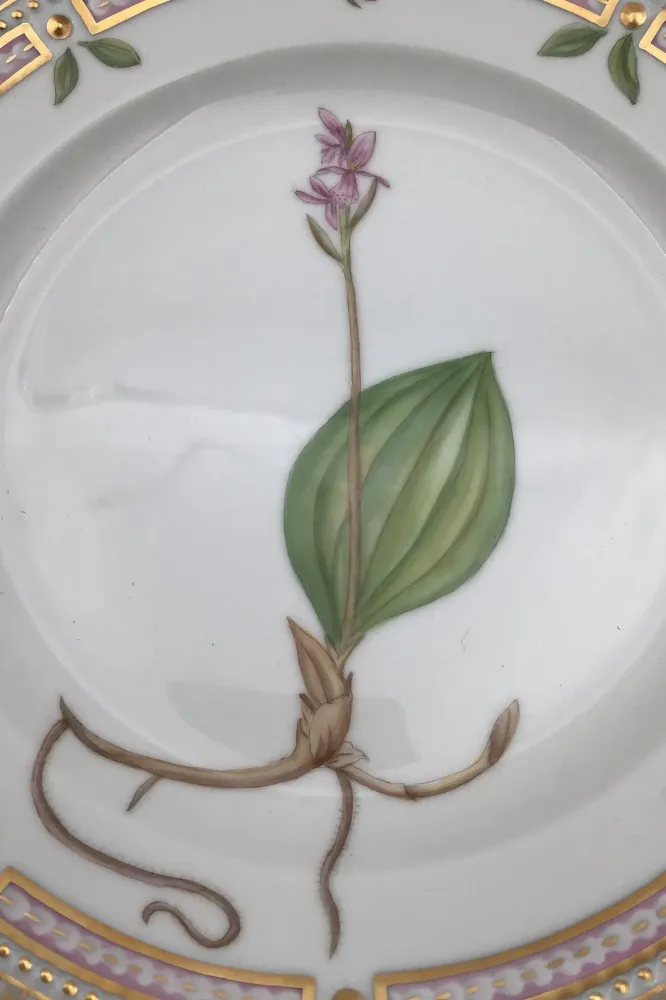 Royal Copenhagen Flora Danica Salat Tallerken No 20/3573