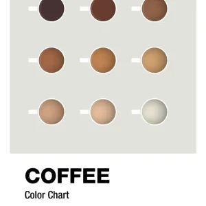 Cold Brew plakat: coffee color chart - painters white 60