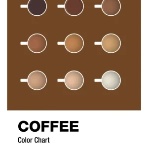 plakat: coffee color chart - dark chestnut 60