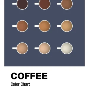 plakat: coffee color chart - petrol Temperature Control 60