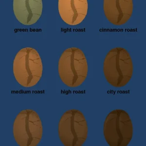 plakat: coffee roast levels - lapis indigo Home Brewing 60