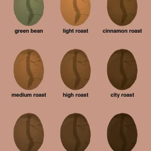 plakat: coffee roast levels - powder Built- Grinder 60
