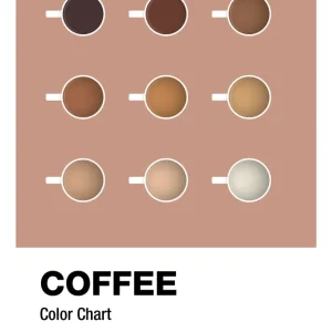 Premium Stainless Steel plakat: coffee color chart - powder 60