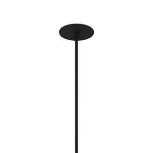 Loftroset, box fit, sortbruneret messing • Thorup Copenhagen