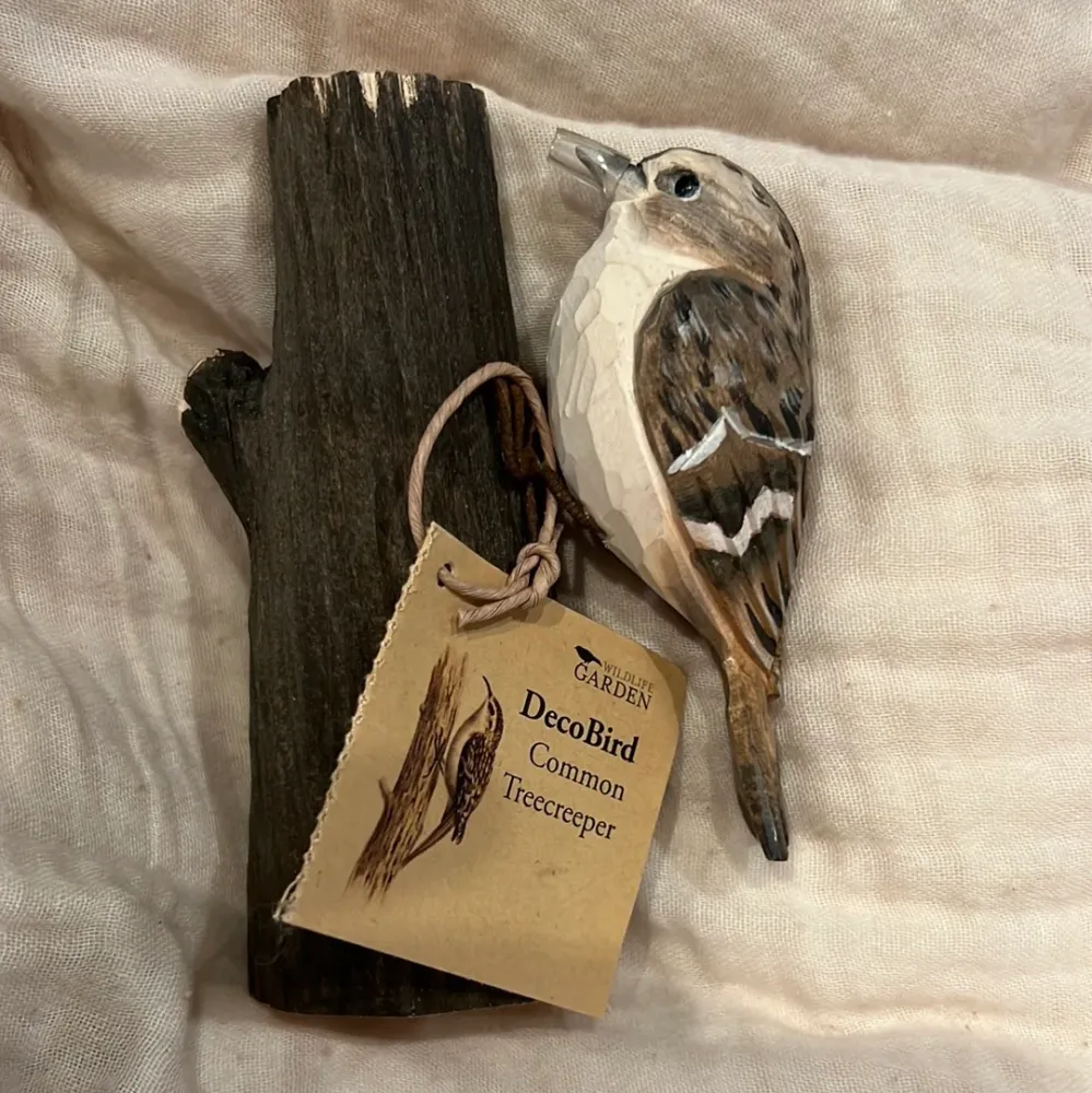 Decobird - Træløber - Common Treecreeper