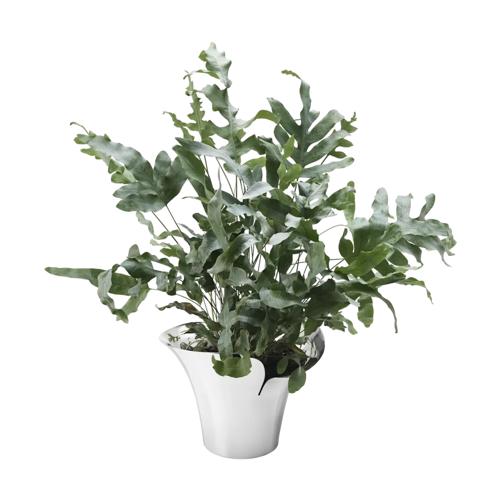 Georg Jensen - BLOOM BOTANICA - Urtepotte - Medium