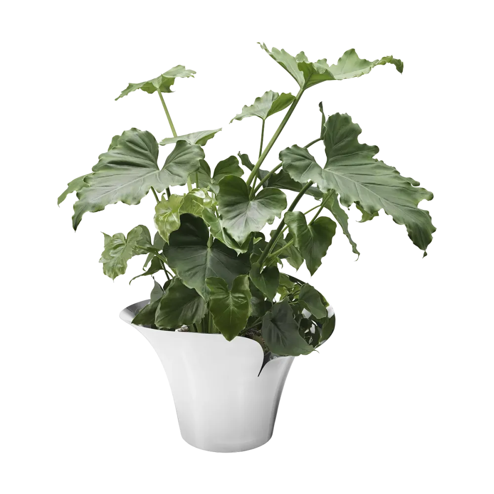 Georg Jensen - BLOOM BOTANICA - Urtepotte - Stor
