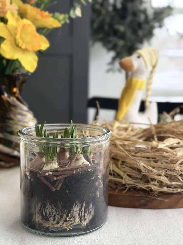 Glas til dekoration