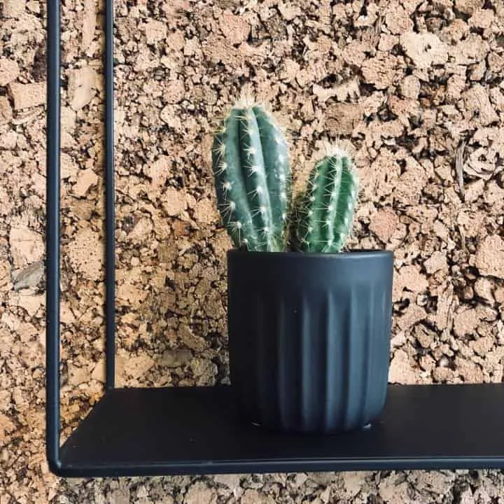 Mini potte - Mat sort - 7x7