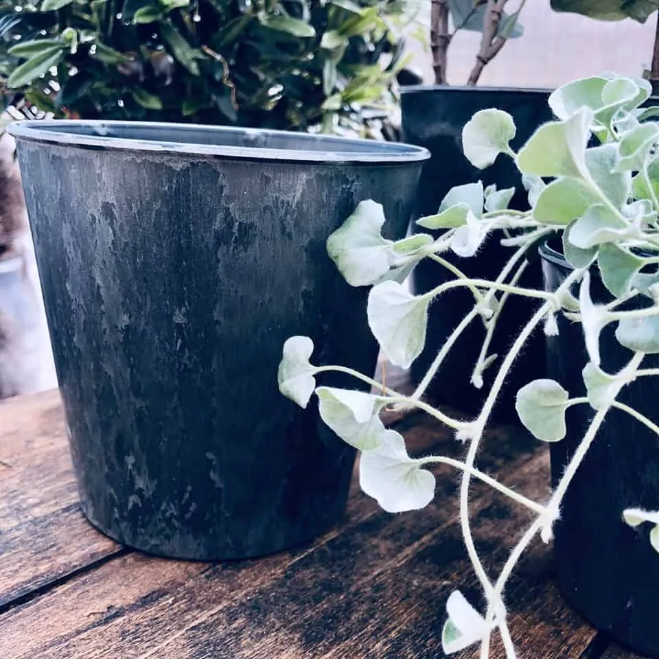 Potte sæt i 3 str - Beton look