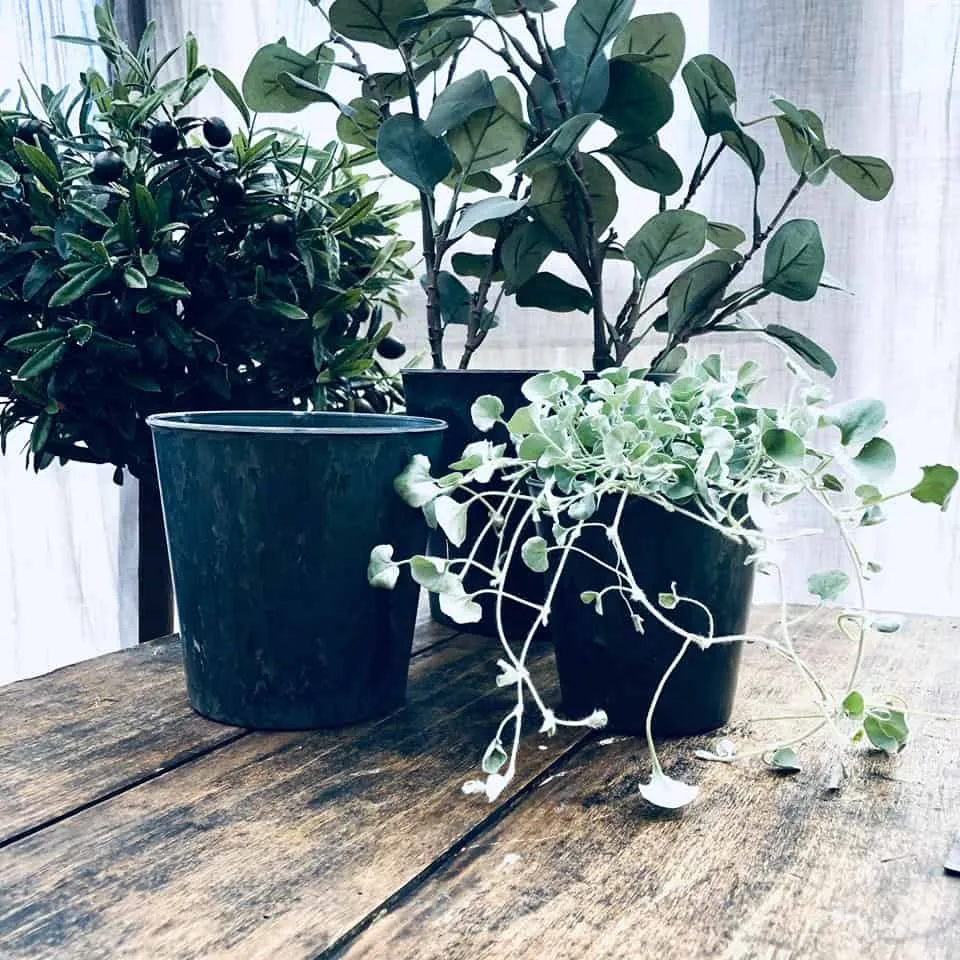 Potte sæt i 3 str - Beton look
